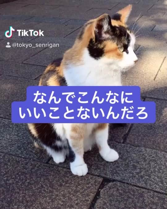 千里眼　東京のインスタグラム