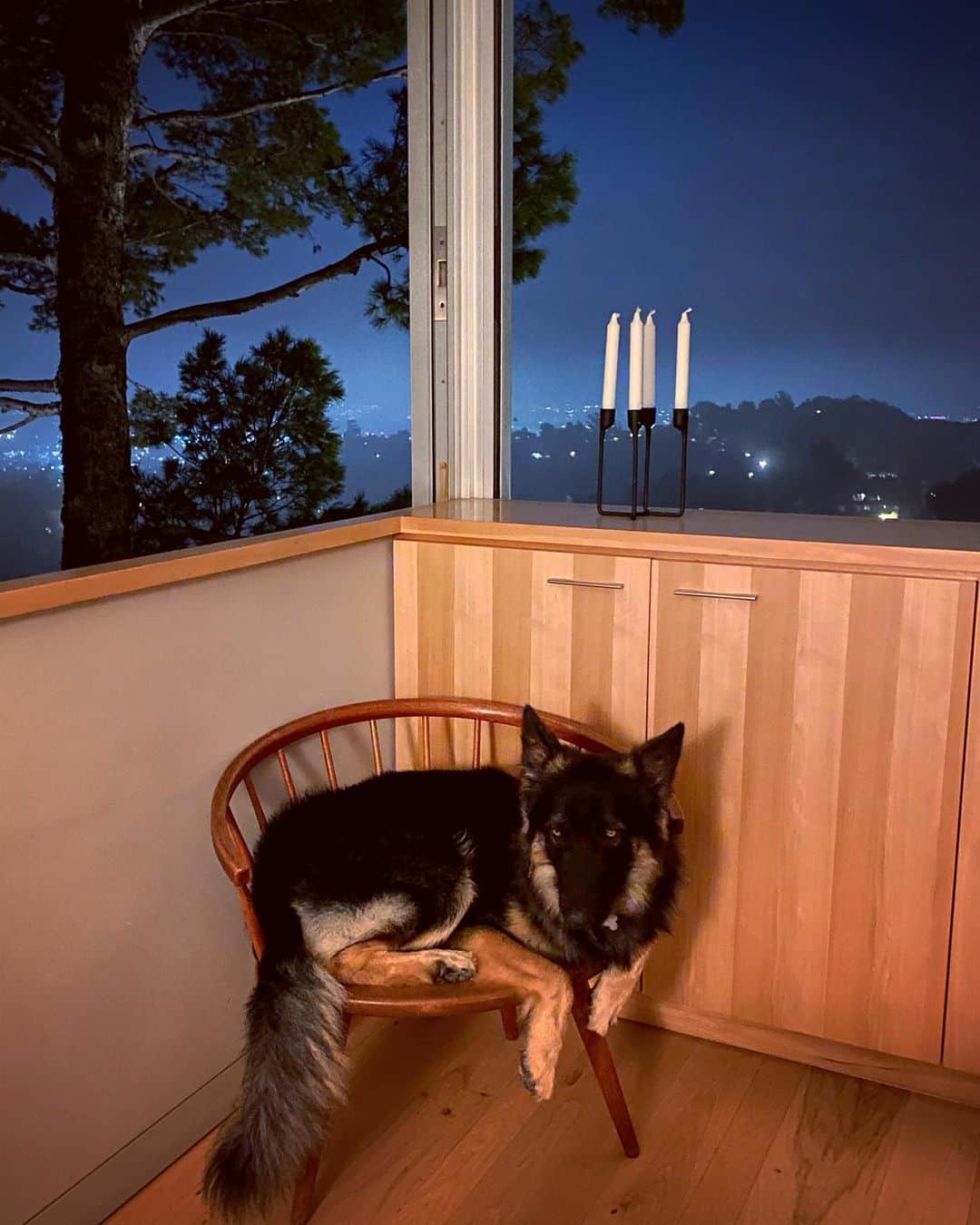 ザカリー・クイントのインスタグラム：「yesterday he turned one year old. happy birthday river quinto. i sure am grateful you were born to find me.」