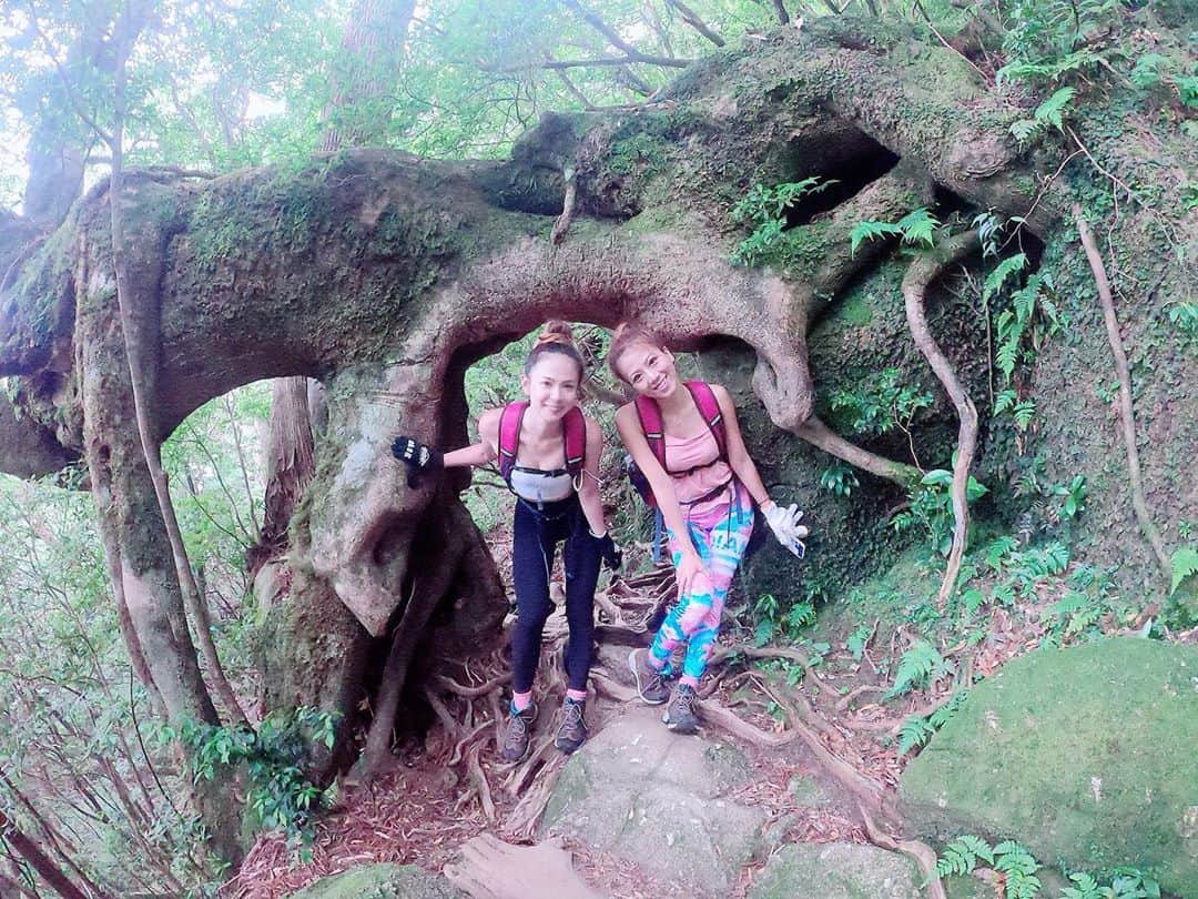 のインスタグラム：「杉のトンネル潜り抜け〜🎶  #死ぬまでに行きたい日本の絶景   #屋久島 #屋久島旅行 #縄文杉 #トレッキング #トレッキング女子 #往復10時間 #頑張った #世界遺産 #旅行 #旅行好きな人と繋がりたい #tabi_jyo #tabijyomap_yakushima #travelgram #traveler #yakushima #goproのある生活 #goprojp #goprotraveljapan #gopro女子 #jtbで旅したい #jalan_travel #japan」