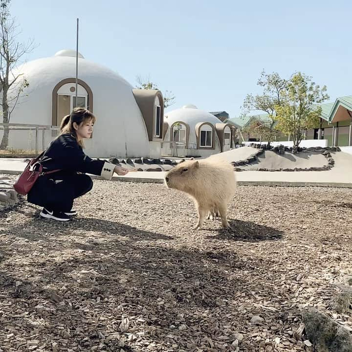 ヴァネッサ・パンのインスタグラム