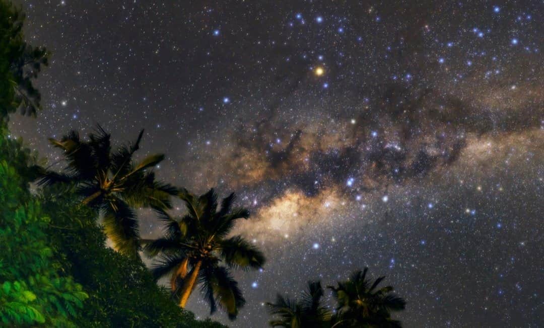 National Geographic Travelさんのインスタグラム写真 - (National Geographic TravelInstagram)「Photo by @babaktafreshi / Seeing a truly dark sky can change someone's life forever. I have seen how the view of the Milky Way (although it's colorless to the eyes) deeply inspired people who joined some of my programs. I took this photo before morning twilight on a 2011 visit to Ilha Grande in Brazil. I was under these coconut palm trees on the beach when the howler monkeys began to roar in the jungle with the galaxy in its full glory overhead. The main challenge was to protect the camera from the falling coconuts!  Explore more from Earth to the universe with me @babaktafreshi. #twanight #nightsky #astrophotography #brazil #earth」10月20日 15時39分 - natgeotravel