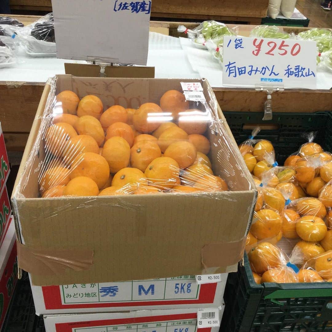 道の駅やちよさんのインスタグラム写真 - (道の駅やちよInstagram)「秋の果物、今が旬のりんご🍎みかん🍊なし🍐など 種類もいろいろ、箱売りもあります。お買い得ですよ〜✨  #道の駅やちよ　#農産物　#果物　#フルーツ　#美味しい」10月20日 15時51分 - michinoeki_yachiyo090720