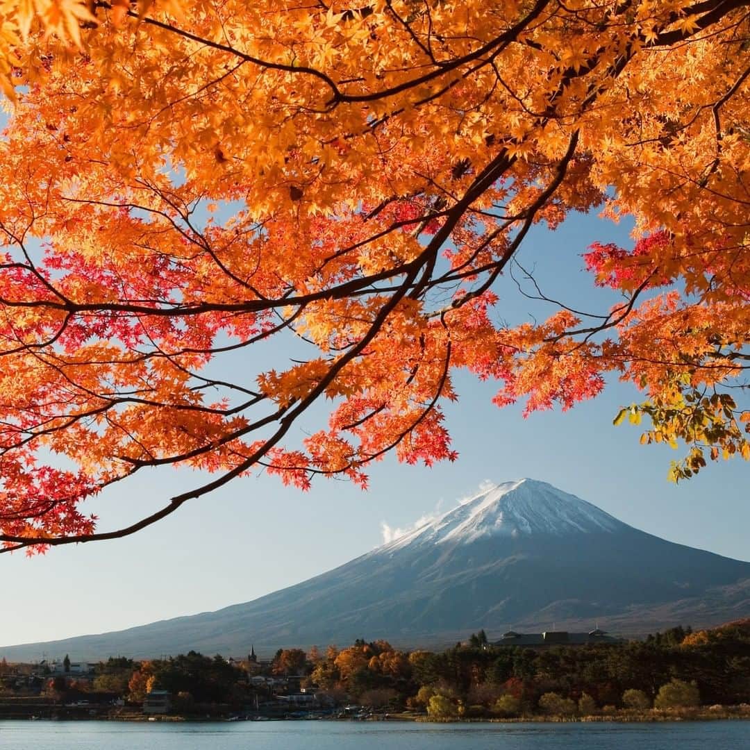 星野リゾートさんのインスタグラム写真 - (星野リゾートInstagram)「【秋の施設紹介】 界 箱根 - KAI Hakone  箱根の玄関口・湯本の旧街道沿いに佇む静寂の宿。一枚の風景画を眺めるような露天風呂や、全室リバービューの客室が自慢です。箱根の土地に根付く寄木細工を活かした心地よい空間を演出します。箱根の宿場町をイメージしたご当地楽「寄木CHAYA」は毎夜開催。  Riverside luxury in Hakone  ▼おすすめのポイント▼ ①箱根の玄関口・湯本の旧街道沿いに佇む静寂の宿 ②清流のせせらぎを聞きながら、紅葉露天で湯浴み ③秋らしい寄木細工を使ったリース作り体験  #HoshinoResorts #星野リゾート #Kai #界 #KaiHakone #界箱根 #Hakone #HakoneYumoto #箱根 #箱根湯本 #箱根湯本温泉 #箱根旅行 #HakoneTrip #Hakonehotel #luxuryresort #JapaneseHotels #Ryokan #Hotspring #Onsen #travelJapan #ig_Japan #JapanTravel」10月20日 16時00分 - hoshinoresorts.official