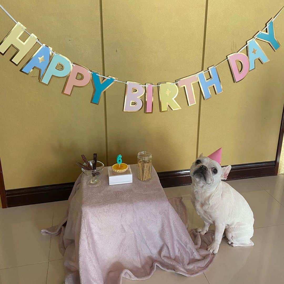 Hyemiさんのインスタグラム写真 - (HyemiInstagram)「오늘은 뚜뚜의 6번째 생일이예요🎉 앞으로도 건강하고 행복하게 잘살자 우리💜💜  드레스 사러 갔는데 맞는 사이즈가 없어서 엄마는 너무 슬펐어..  담엔 미리 주문할께 예쁜 드레스 입고 생파하자😍😍  #꼬깔모자너무잘어울리잖아 #생파하기전에 간식 두개드심 #1020 #뚜뚜생일」10月20日 16時09分 - hinzajoa