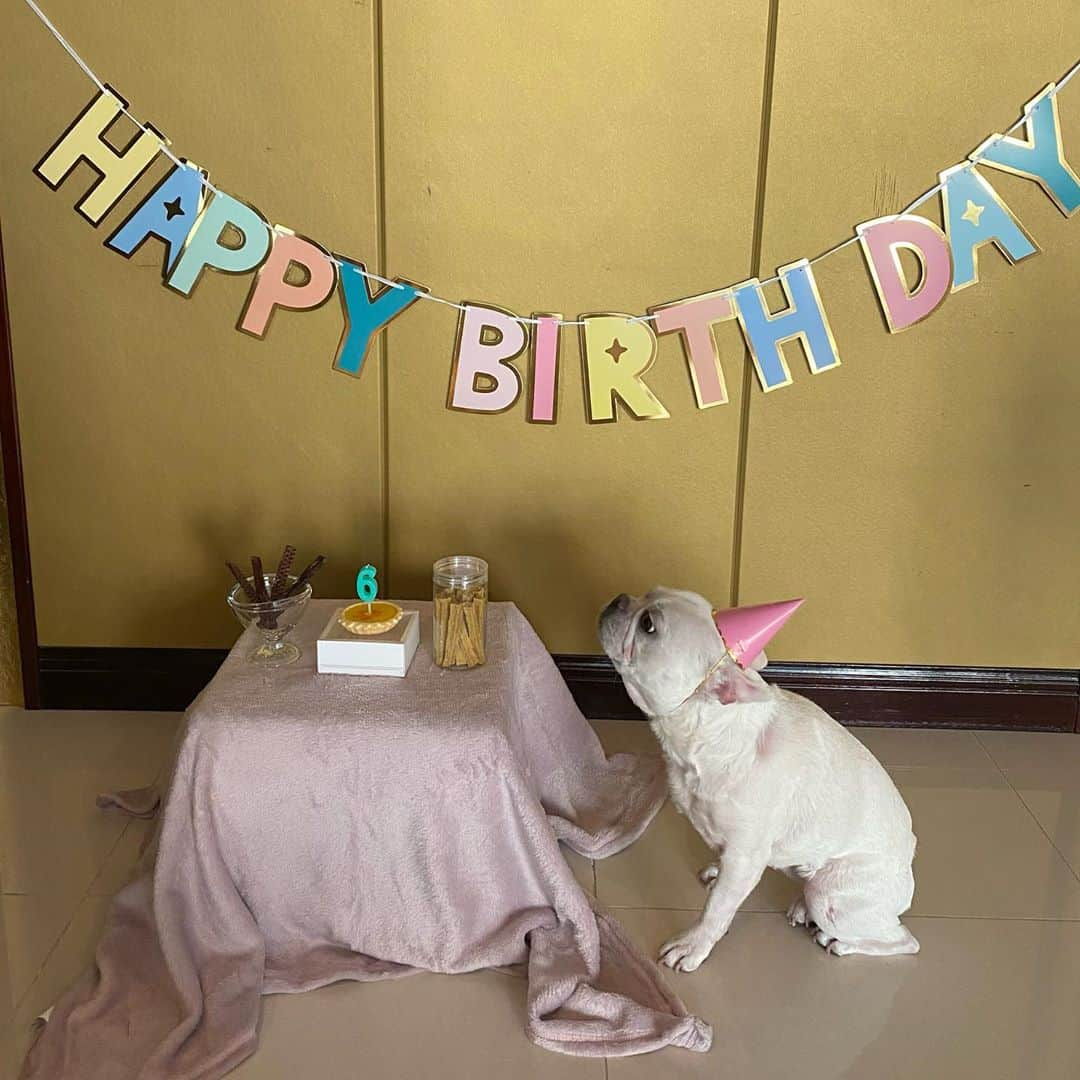 Hyemiさんのインスタグラム写真 - (HyemiInstagram)「오늘은 뚜뚜의 6번째 생일이예요🎉 앞으로도 건강하고 행복하게 잘살자 우리💜💜  드레스 사러 갔는데 맞는 사이즈가 없어서 엄마는 너무 슬펐어..  담엔 미리 주문할께 예쁜 드레스 입고 생파하자😍😍  #꼬깔모자너무잘어울리잖아 #생파하기전에 간식 두개드심 #1020 #뚜뚜생일」10月20日 16時09分 - hinzajoa