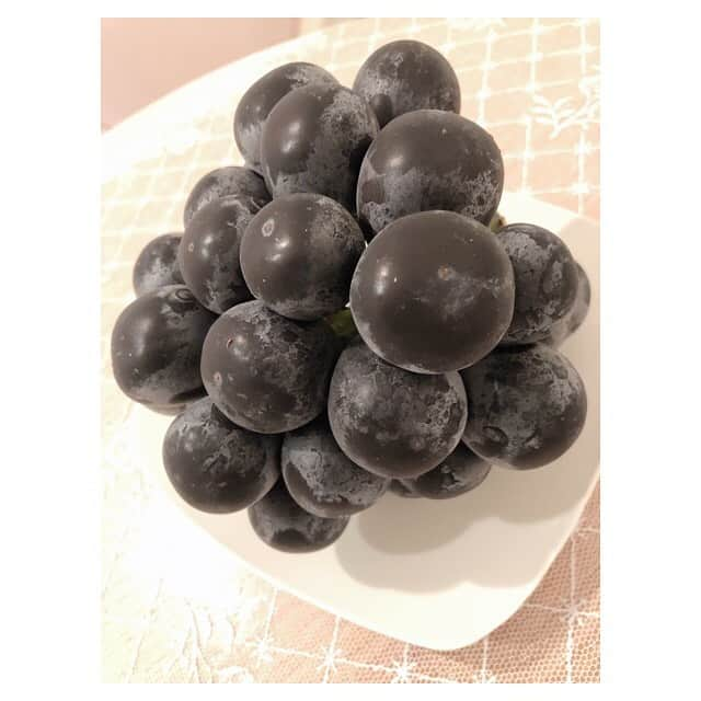 早乙女わかばさんのインスタグラム写真 - (早乙女わかばInstagram)「.﻿ 🍇食欲の秋🍇﻿ ﻿ おしとやかに食べる振りして…﻿ ﻿ 〝がぶり！！！！！〟﻿ ﻿ 大胆にかぶりつきました。﻿ ﻿ 2種のぶどうパフェ&サンドイッチ﻿ 🍇シャインマスカット&ナガノパープル﻿ ﻿ 美味しーい🤤💕﻿ ﻿ お知り合いからも﻿ ナガノパープル🍇を頂きました🥰﻿ ﻿ 食欲の秋シリーズ続きます😋﻿ ﻿ #食欲の秋﻿ #ナガノパープル﻿ #シャインマスカット﻿ #千疋屋」10月20日 16時22分 - s_wakaba.94