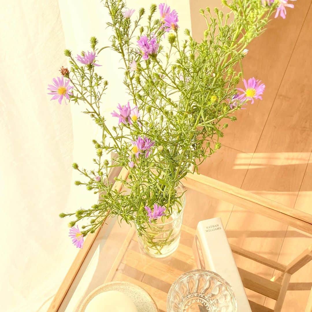 AYURA(アユーラ) さんのインスタグラム写真 - (AYURA(アユーラ) Instagram)「﻿ ﻿ 今日は秋から冬にかけて一番見ごろとなる花のひとつ、﻿ スプレーマムをご紹介。﻿ ﻿ スプレーマムの花言葉「清らかな愛」✨﻿ シンプルな形の花びらが集まり花をつくっている様子から﻿ 清らかさの象徴とされているんだそうですよ。﻿ ﻿ 四季を意識しながらお花を選ぶのはとっても楽しいですよね🌸﻿ 皆さんもぜひ、季節を感じながらお花を選んでみてください♪﻿ ﻿ ﻿ #AYURA #アユーラ #アユーラのある生活﻿」10月20日 16時36分 - ayura.official