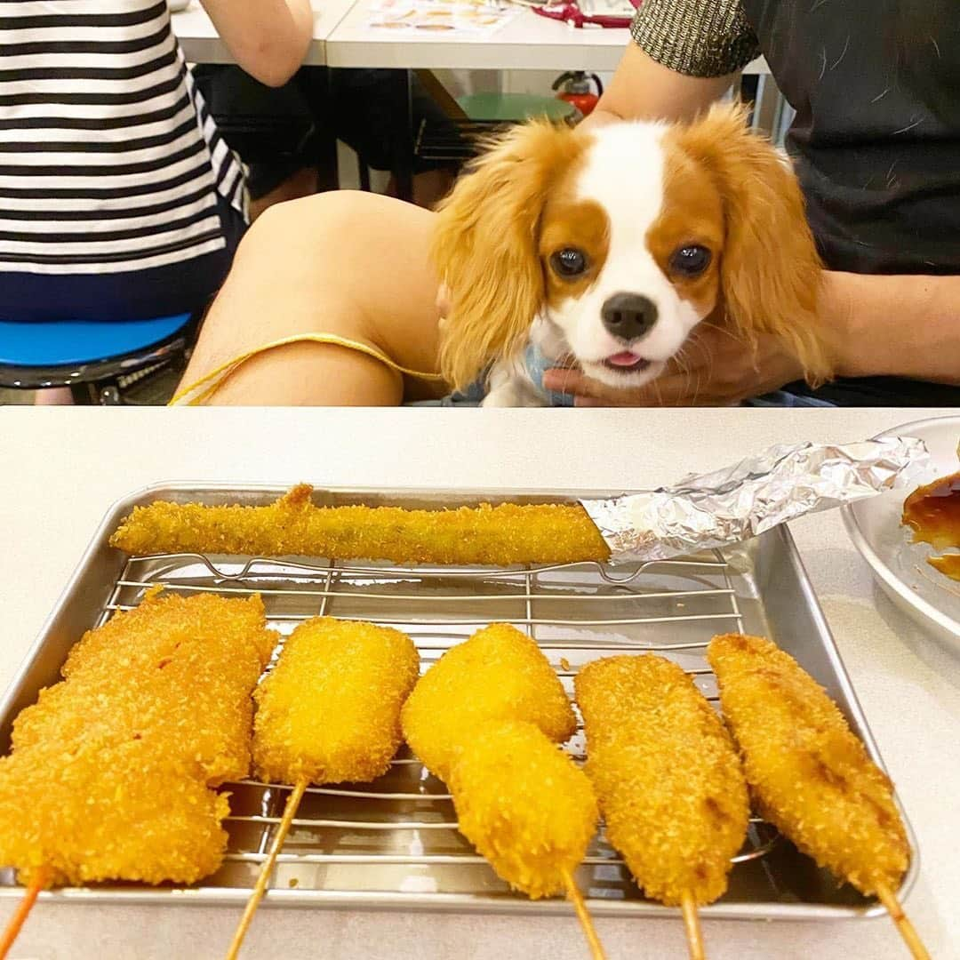 串カツ田中のインスタグラム