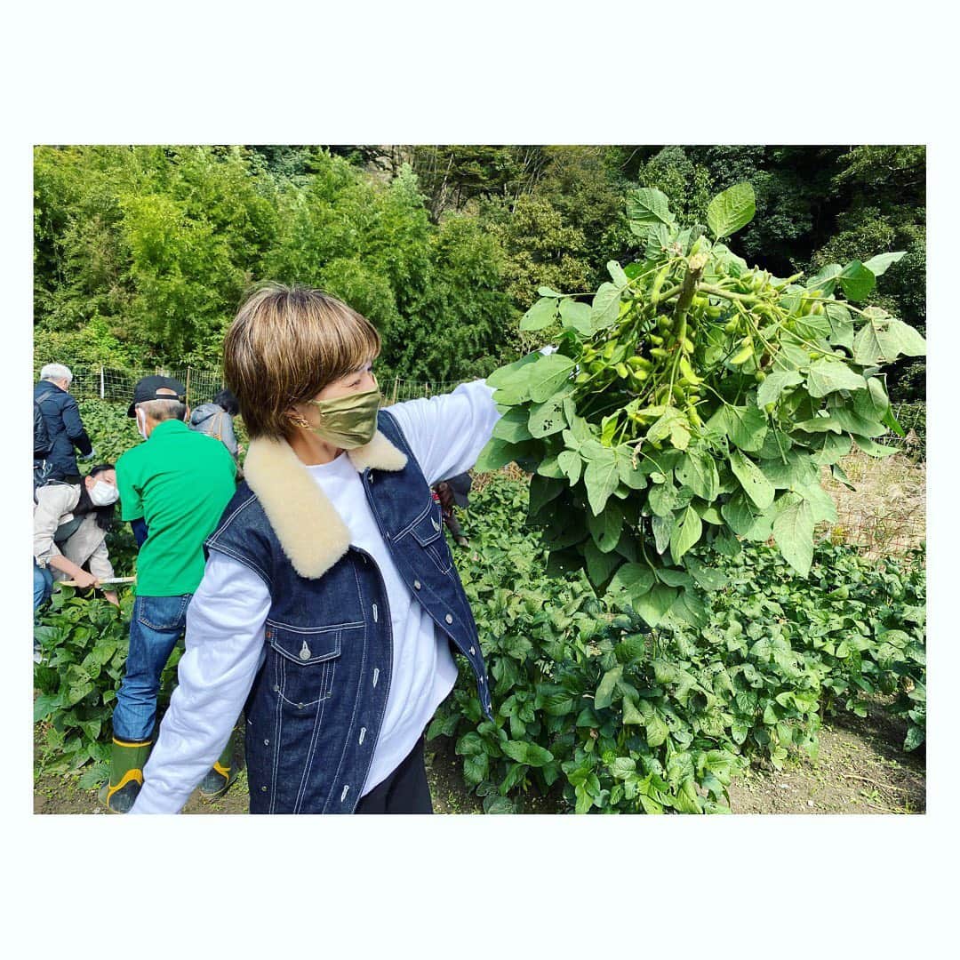 廣瀬規子のインスタグラム：「とったど〜っ‼️ ・ #あけぼの大豆　の枝豆❣️ ・ ・ #山梨県 #身延町 #森の学び舎  #あけぼの大豆　は #豆が大きいよ」