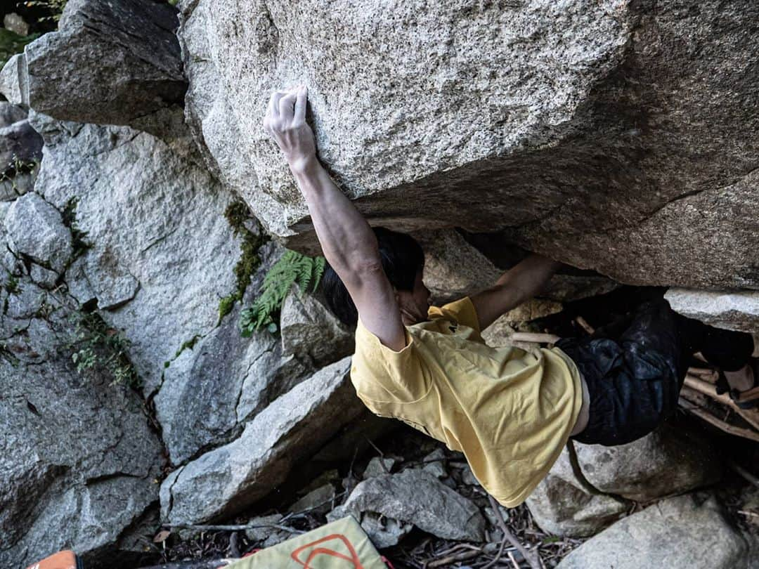 中島徹さんのインスタグラム写真 - (中島徹Instagram)「problem: Happa V8 climber: @monkeydoing  location: Shiga」10月20日 17時16分 - saruzaemon9