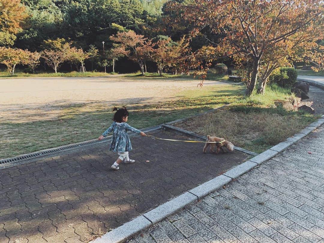 ジュジュのインスタグラム：「もう、おチビさんはハニーが気になってしかたない😂 #リード離さない . 🐕×👶たまらん🤍 . しかし３人目が出来たかの様な大変さも否めないw . . #🐕 #色々あったけど... #おかえり🤍」