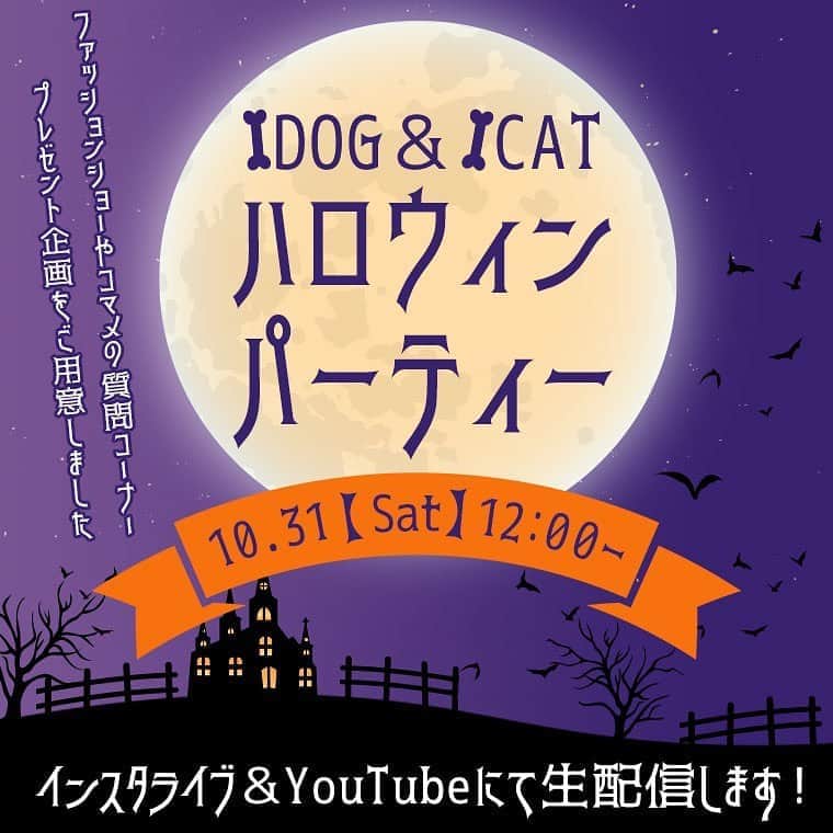 iDog&iCatのインスタグラム