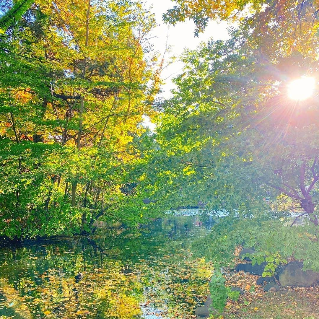 DJ DAIKI（若林大輝）さんのインスタグラム写真 - (DJ DAIKI（若林大輝）Instagram)「The autumn leaves in Japan are so beautiful👏✨ . 北海道は一足早い 紅葉スタート . 一年でこんなに 日本にいたのは十数年ぶり . 日本の秋は美しい🍁🍁 京都の紅葉も見に行こうかな⛩️ . #北海道 #支笏湖 #支笏湖温泉  #紅葉  #食欲の秋」10月20日 17時28分 - daiki.wakabayashi