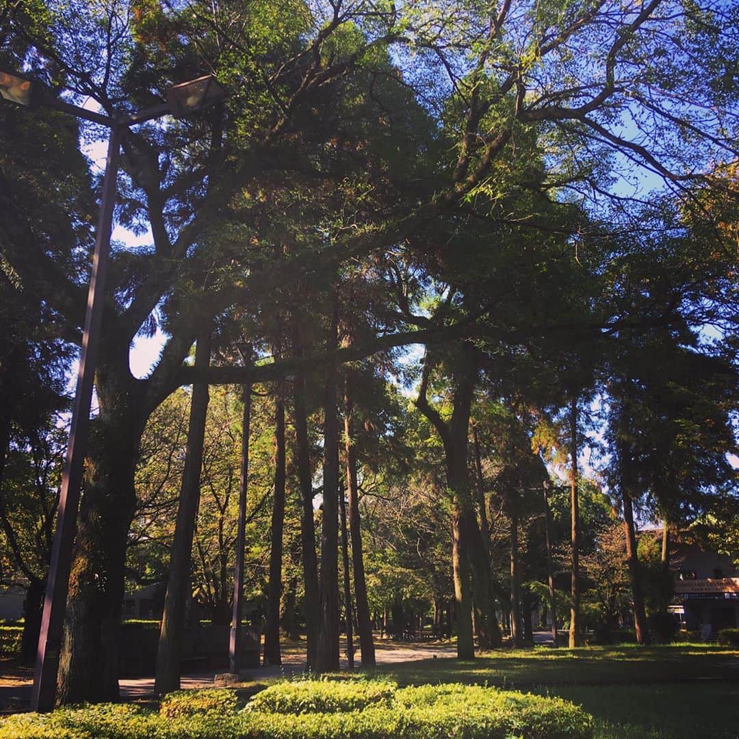 Kumamoto COC+さんのインスタグラム写真 - (Kumamoto COC+Instagram)「今日の北キャンパス」10月20日 17時30分 - kumadaikido