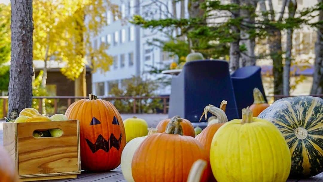 あかん遊久の里 鶴雅さんのインスタグラム写真 - (あかん遊久の里 鶴雅Instagram)「ハロウィンカボチャが登場してます🎃  ハロウィンのシンボルとしてよく目にする「ジャック・オー・ランタン」（本来は中をくり抜きますが…）は、魔除けの役割を果たしています。  ハロウィンは古代ケルト民族の風習で、日本でいうところのお盆みたいなものなんだそうです。 先祖の霊と一緒に悪霊もついてきてしまうので、その悪いものを祓うんだそうですよ。 ・ ・ ・  #jaran_travel#retrip_news#japan_vacations#discoverjapan#loves_united_japan#jp_gallery#hokkaido#hokkaidotrip#hokkaidolikers#hokkaidosgram#ig_hokkaido#photo_shorttrip #北海道旅行#北海道観光#北海道#道東#阿寒湖温泉#温泉#鶴雅#鶴雅リゾート#遊久の里鶴雅#旅#旅行好きな人と繋がりたい#旅スタグラム#国内旅行#女子旅#家族旅行#二人旅#カップル旅#まったり休日」10月20日 17時31分 - tsuruga_akan