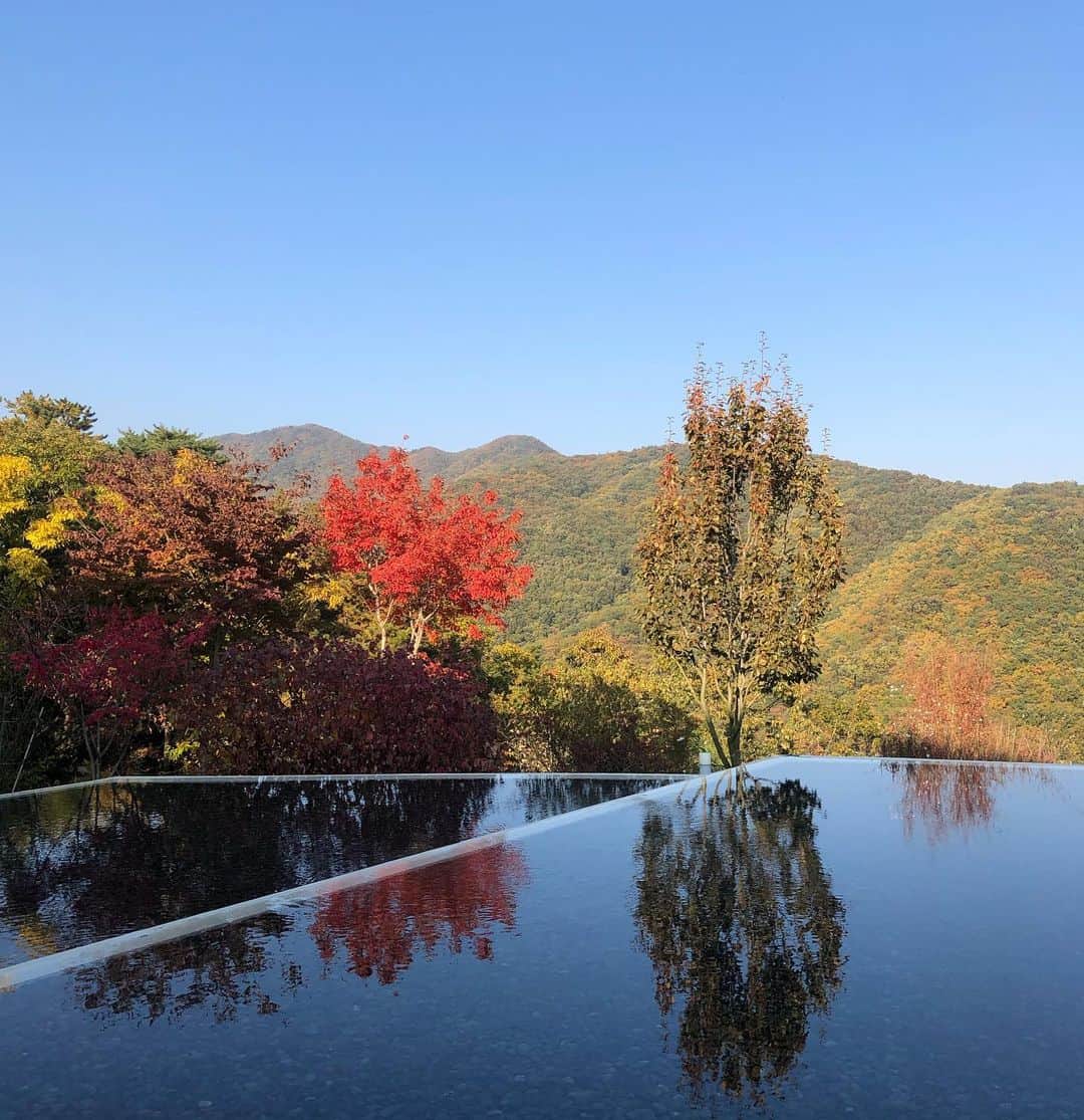 イユエリンのインスタグラム：「🍁🍁🍂🌾」