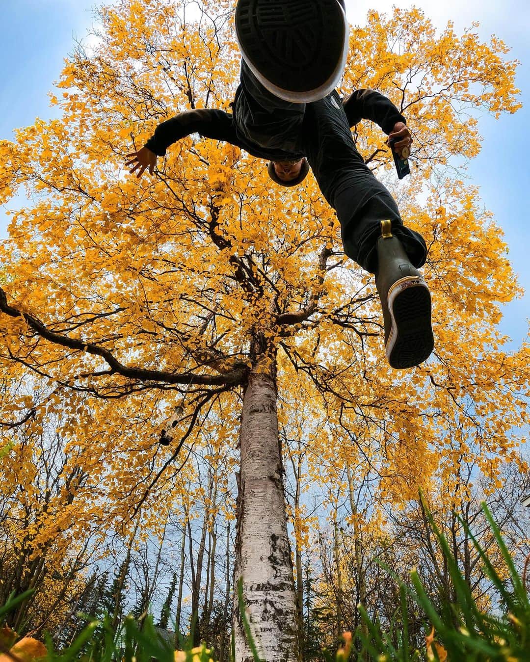 goproさんのインスタグラム写真 - (goproInstagram)「Family fun in the #fall foliage with #GoProFamily member @timthetoothninja + #GoProHERO9 Black. ⠀⠀⠀⠀⠀⠀⠀⠀⠀ Looking to score your own #GoProHERO9 Black? Submit your best photos to GoPro.com/Awards + we will pick our favorite every week to take home hardware on us 📷 ⠀⠀⠀⠀⠀⠀⠀⠀⠀ #GoPro #MoreEverything #Alaska #Autumn #Family」10月21日 4時48分 - gopro