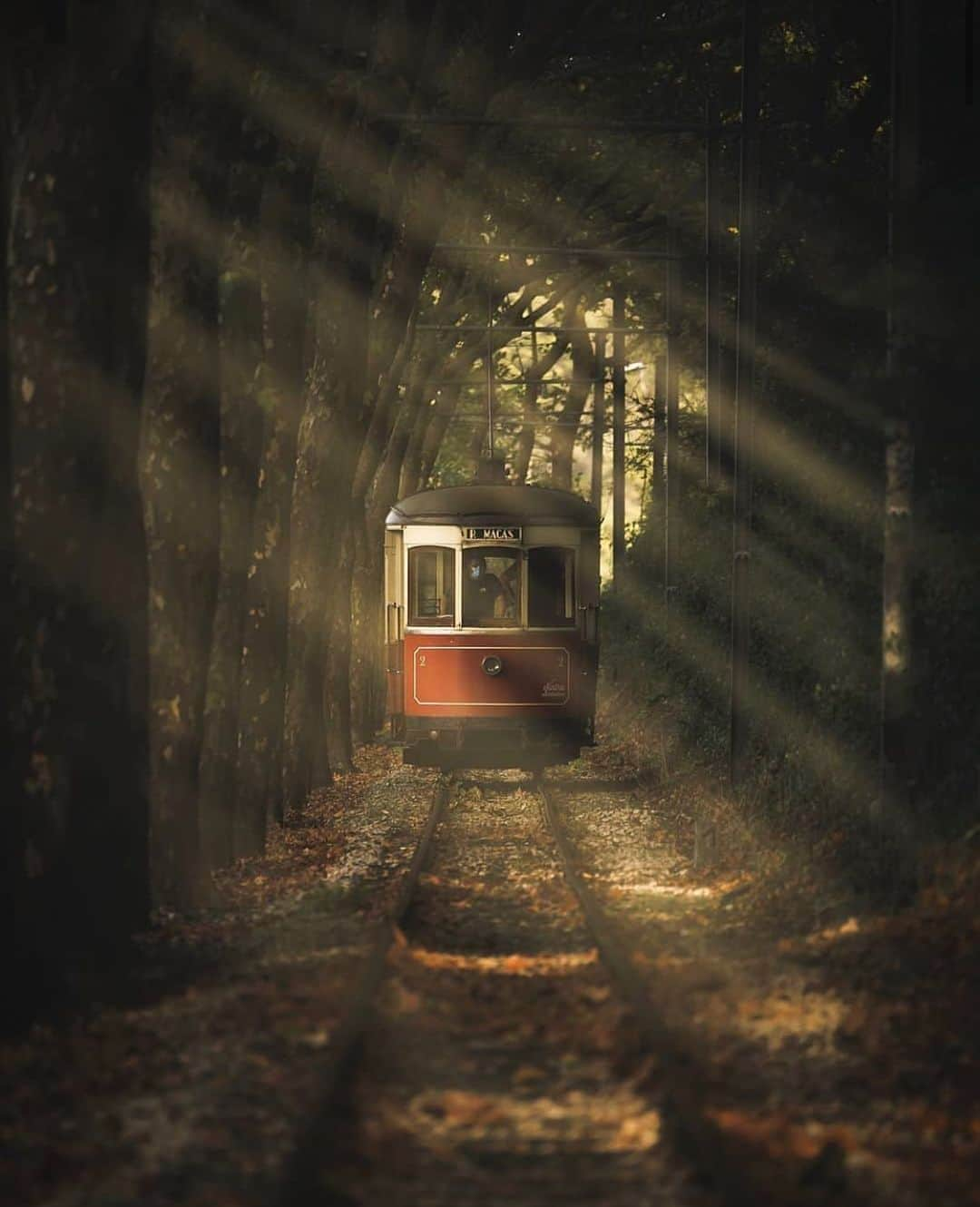 Instagramersさんのインスタグラム写真 - (InstagramersInstagram)「Fantastic light trough the tram rail...with this photo by @lx.wanderer and @igersportugal 📸😍🚋✨💛 #igersportugal #portugaldenorteasul #igers」10月21日 4時16分 - igers