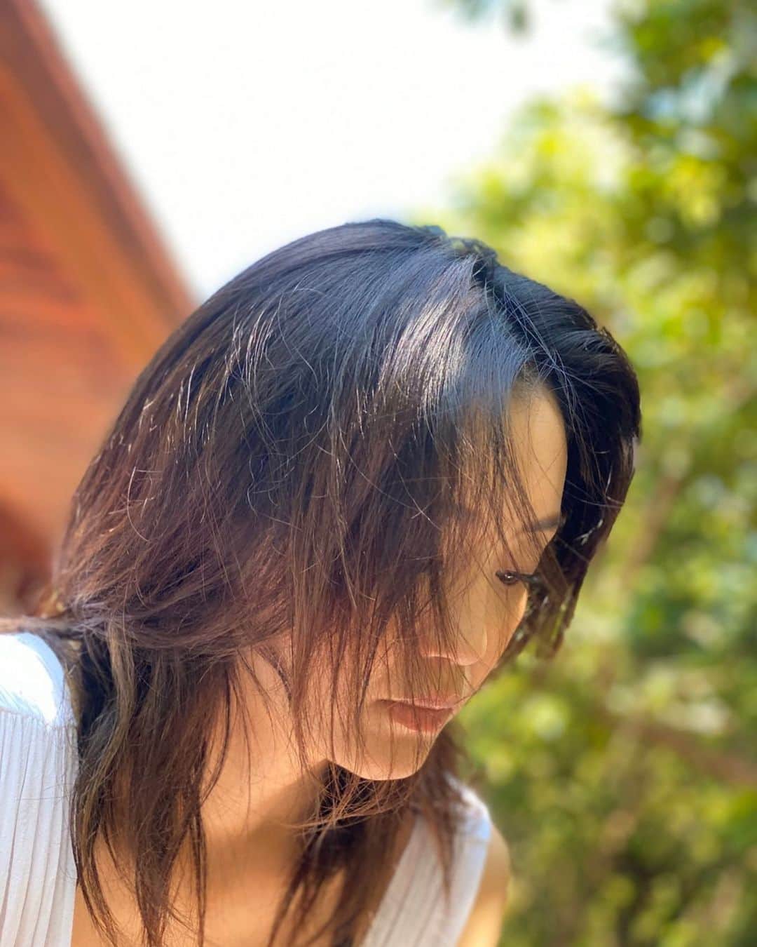 佐藤仁美のインスタグラム：「🍁 寒い日が続くなぁ。 サンサン太陽浴びて、光合成したいよ。  #sun #太陽」