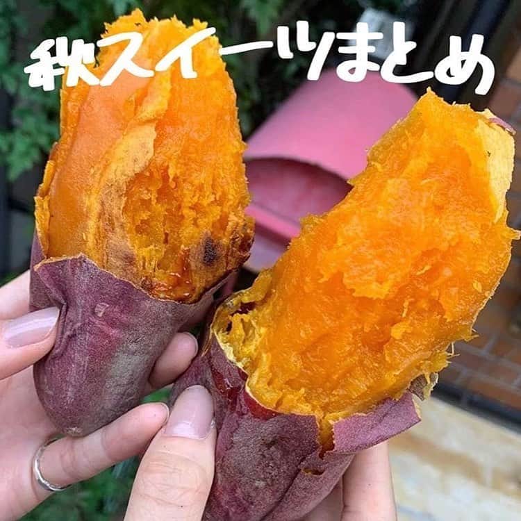 のインスタグラム：「東京で食べられる秋スイーツを厳選しました🍠 ㅤㅤㅤㅤㅤㅤㅤㅤㅤㅤㅤㅤㅤ ①豪徳寺　焼き芋専門店ふじ ②西新井　カフェサンクチュアリ ③表参道　裏参道ガーデン ④三軒茶屋　かぼちゃ ⑤代官山　てんぷら元吉 ⑥新大久保　カフェビンゴ ⑦市ヶ谷　No.4 ⑧吉祥寺　ハティフナット ㅤㅤㅤㅤㅤㅤㅤㅤㅤㅤㅤㅤㅤ  秋にしか食べられないスイーツもあるからぜひ楽しんできてね〜🐒」