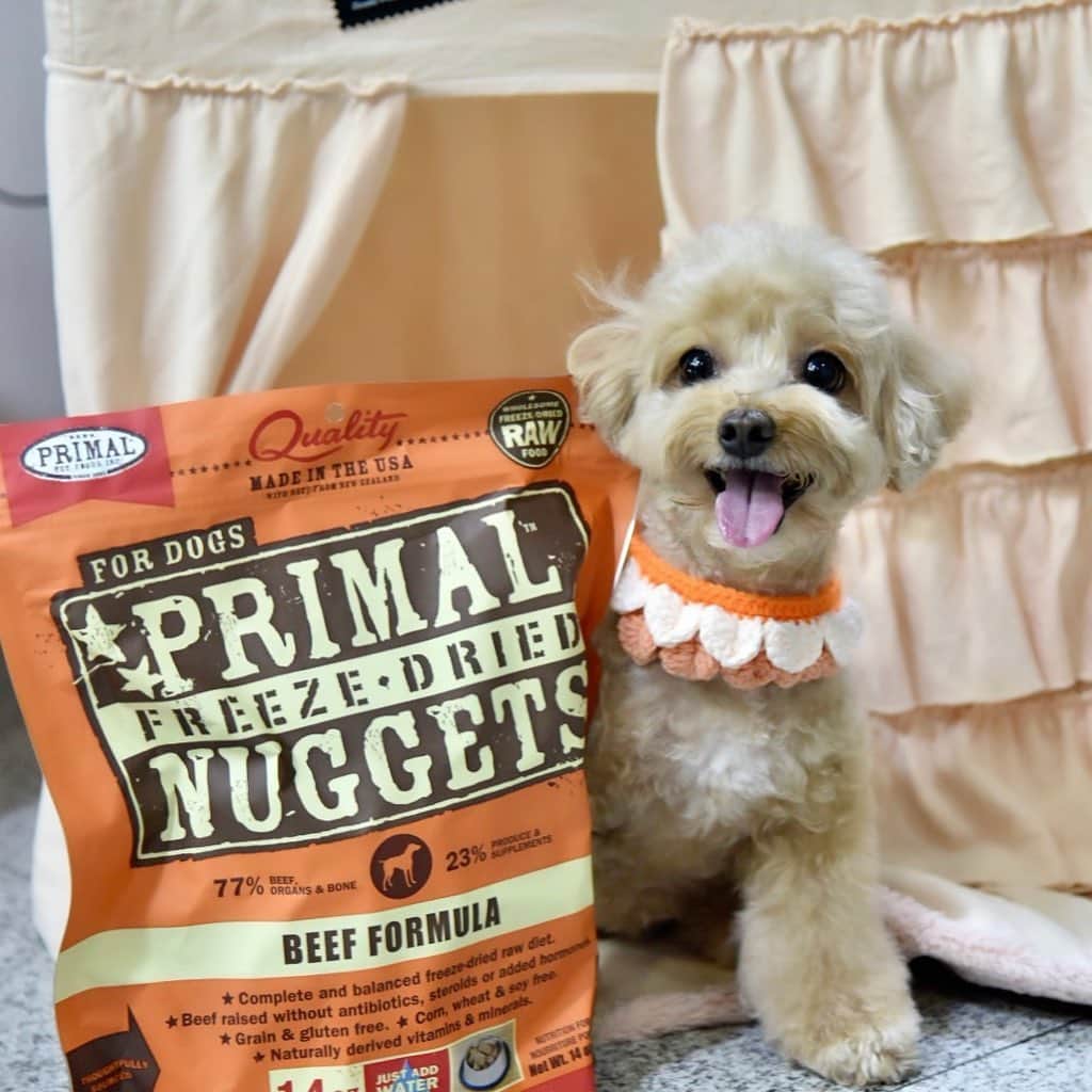Truffle??松露?トリュフのインスタグラム