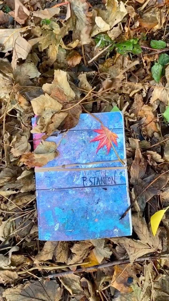 Tea and sittingのインスタグラム：「📘🍁...I love finding a pile of leaves 🍂🤎 #cctheworkbook #ccworkbookinthewild #consciouscreatovity @leapingharepress @quartocreates @consciouscreativity」