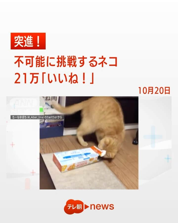 テレ朝newsのインスタグラム