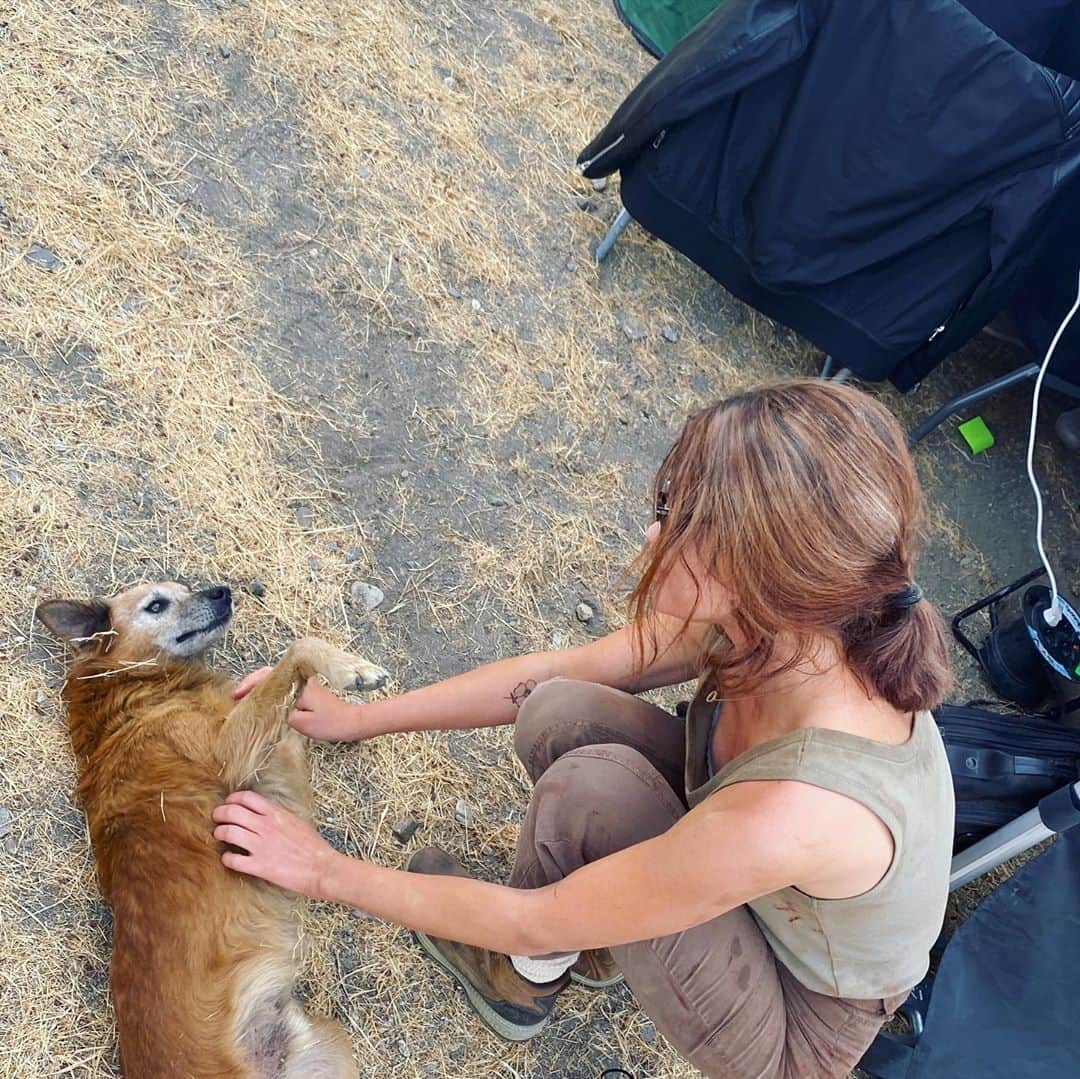 ルーシー・ヘイルのインスタグラム：「making little buddies 🐶🇪🇸」