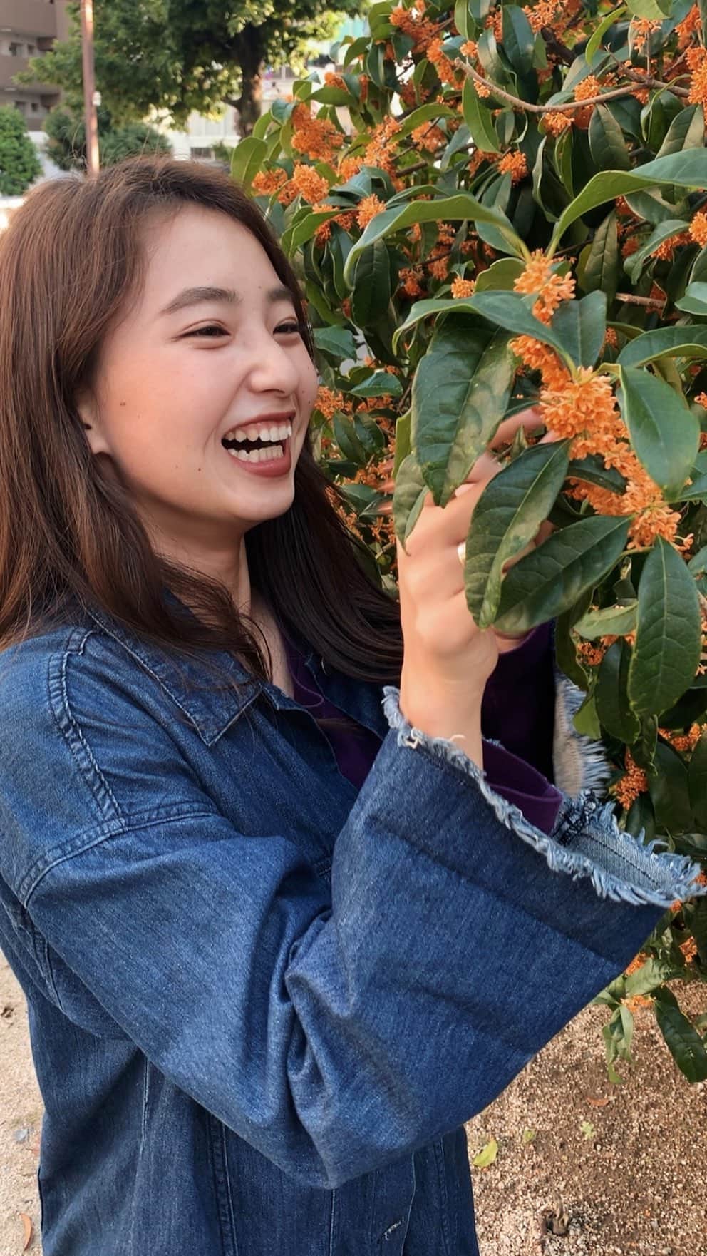 𝐊𝐚𝐤𝐢𝐠𝐢𝐅𝐮𝐤𝐚のインスタグラム：「． ． 金木犀の香りって ずーっと遠い場所からでも あ！ってなって見つけたくなる🌞🍂 ． 今年1番金木犀が咲いてる場所を見つけて HAPPY GIRL でした👧🏻🧡 ． 金木犀で作ったリングは可愛すぎた📙🎨 ． ． ． ． ． 大好きな遊助さんのライオン@usk_kmj 🦁 #ライオン  #金木犀  #金木犀の季節  #金木犀リング  #リール  #彼女感」