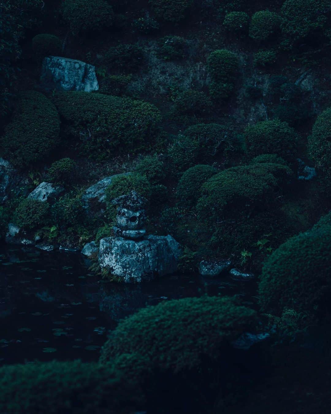 清水寺さんのインスタグラム写真 - (清水寺Instagram)「Jojuin garden  成就院」10月20日 22時14分 - feel_kiyomizudera