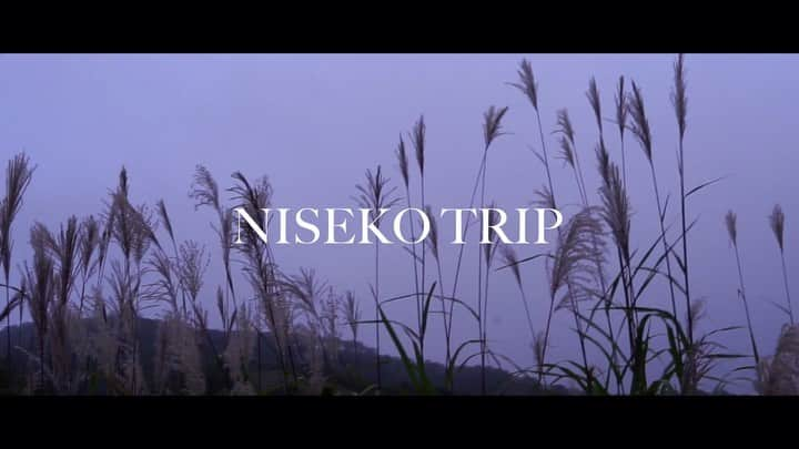 新井雄大のインスタグラム：「Niseko trip🔥」