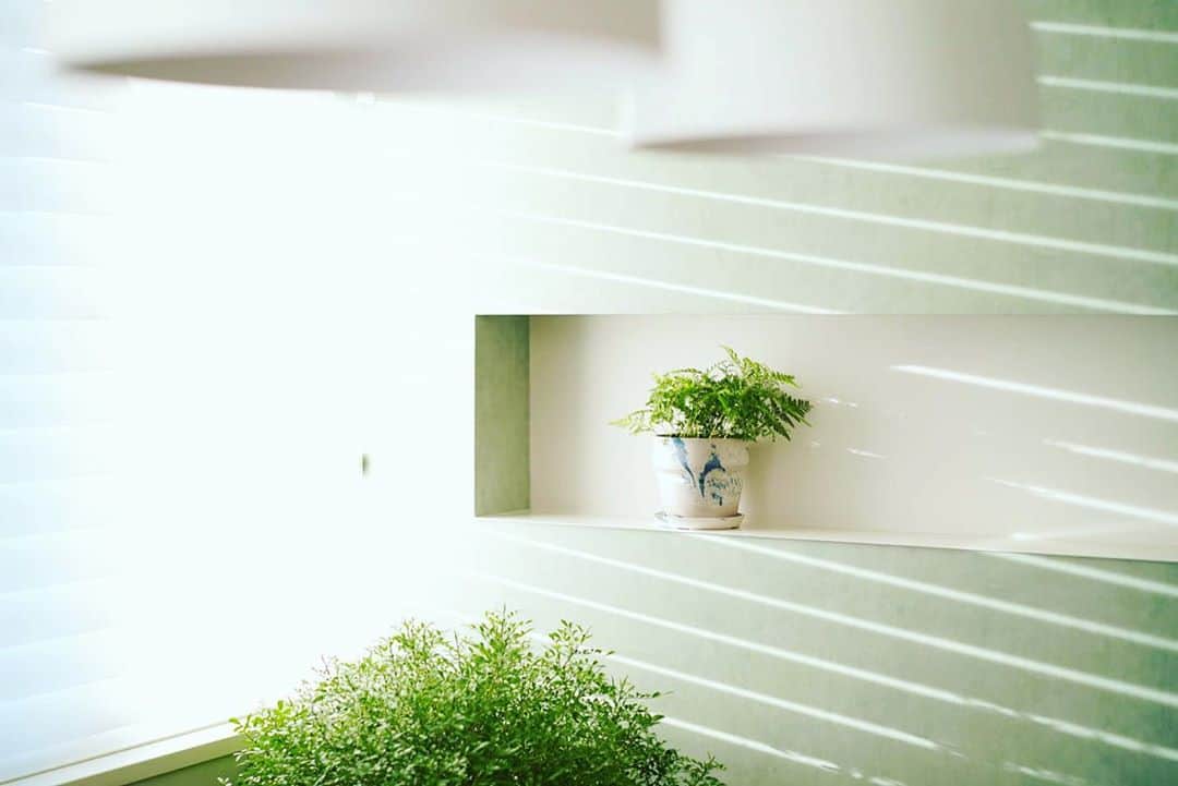 木南清香のインスタグラム：「🌿 ・ ・ 最近、みどりが好き。 壁の色を #グリーン に変えて 室内に植物も増やしてみました🌿 ・ #西陽 #おうち時間 #athome」