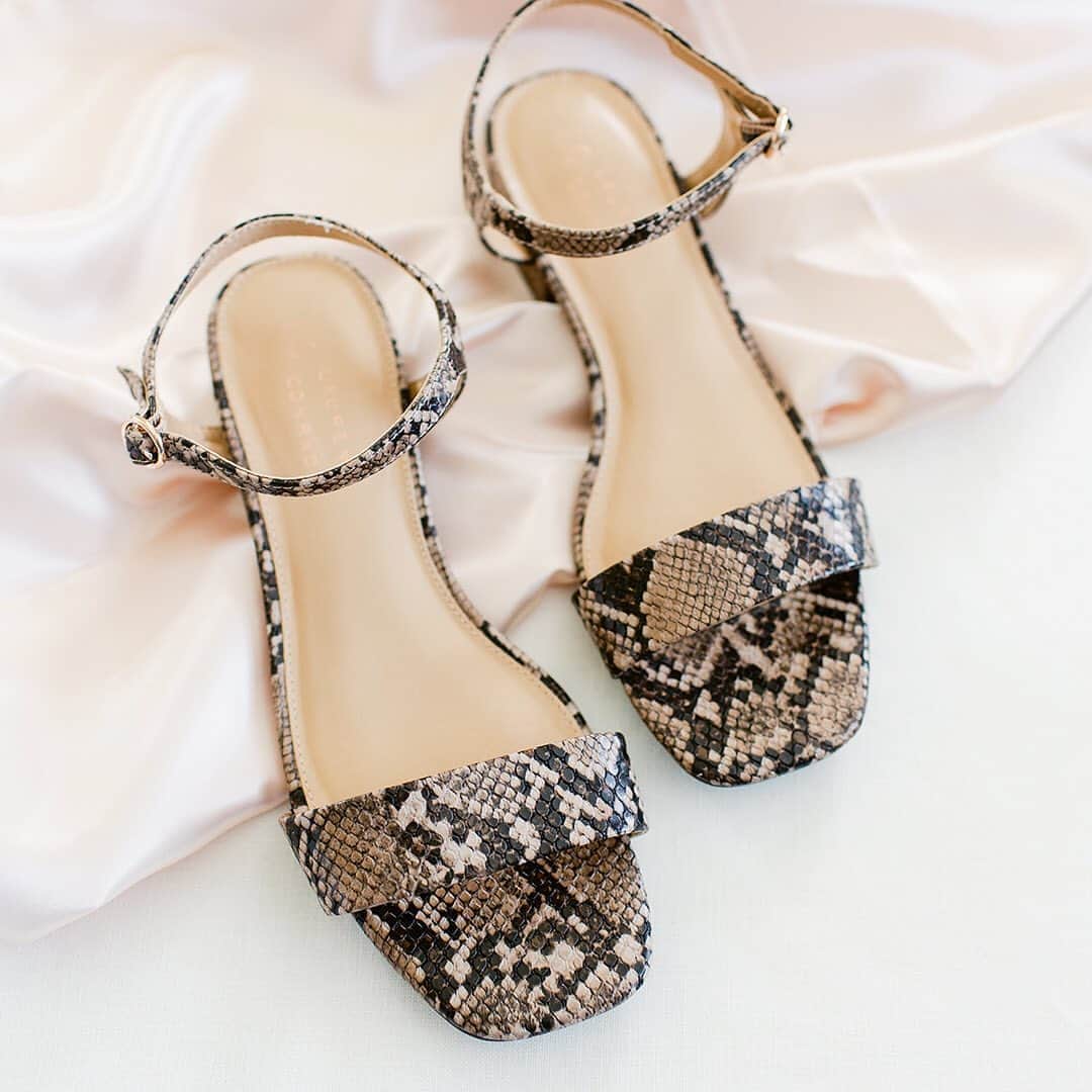 ロック&リパブリックのインスタグラム：「Going wild for these @lclaurenconrad heels. 🖤 Tap to shop. #lclaurenconrad #tuesdayshoesday #Kohls」