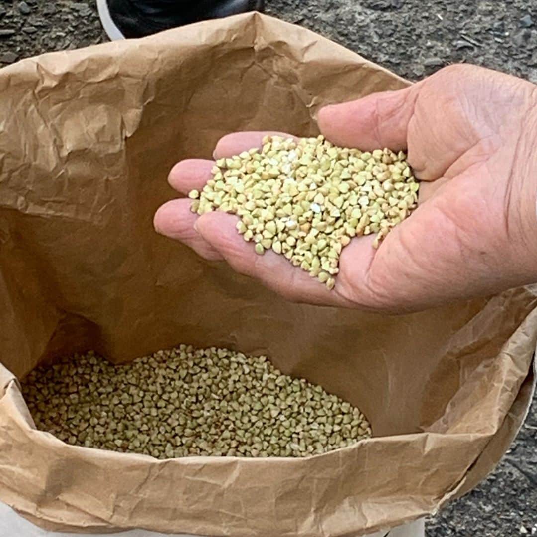 T.G.HEARTH TGハースのインスタグラム：「こんばんはハース恵比寿店です🤓﻿ 当店のガレットは北海道多度志産北早生のそば粉を使用して当社独自のブレンドで配合したこだわりの生地なんです‼️‼️‼️是非一度食べて見て下さい👍﻿ そばの香りが鼻から抜けます✨✨✨﻿ ﻿ ﻿ 【感染予防対策】﻿ ・アルコール消毒液設置﻿ ・空間殺菌設備稼働﻿ ・テーブル間のアクリル板設置﻿ ・検温機﻿ ・スタッフのマスク着用と手洗い徹底﻿ などお客様に安心してご来店頂けるよう対策しておりますので是非ご来店お待ちしております。﻿ ﻿ ﻿ テイクアウト限定チキンのご案内↓↓↓﻿ 当店名物ロティサリーチキン1羽まるごと¥1980🐓﻿ ☎️03-6416-9830﻿ ﻿ ◆ガレット（YouTubeで動画も見れるよ‼️）﻿ https://www.instagram.com/galette.galette/﻿ ﻿ https://m.youtube.com/channel/UC4nVtquelZgXuDnXWpCQ9sg﻿ ﻿ ◆Uber eats・menu・出前館によるデリバリー﻿ 11:30〜21:00﻿ ﻿ ◆LINE@登録お願いします♪﻿ https://lin.ee/g0H4jc6﻿ ﻿ ﻿ 皆さまの笑顔に会えますように！💕💕💕﻿ ﻿ ﻿ #ハース恵比寿店#代官山ディナー#代官山ランチ#恵比寿グルメ#恵比寿ビストロ#恵比寿ディナー#代官山グルメ #ハース #代官山テイクアウト#恵比寿ランチ#ガレット#チーズ#ロティサリーチキン#gotoeatキャンペーン#gotoキャンペーン#恵比寿ワイン#gotoeat #渋谷ディナー#恵比寿チーズ#ローストチキン#渋谷グルメ#渋谷ランチ#渋谷チーズ#恵比寿カフェ#チーズケーキ#渋谷カフェ#恵比寿新聞#恵比寿ビール#チーズフォンデュ#恵比寿テイクアウト」