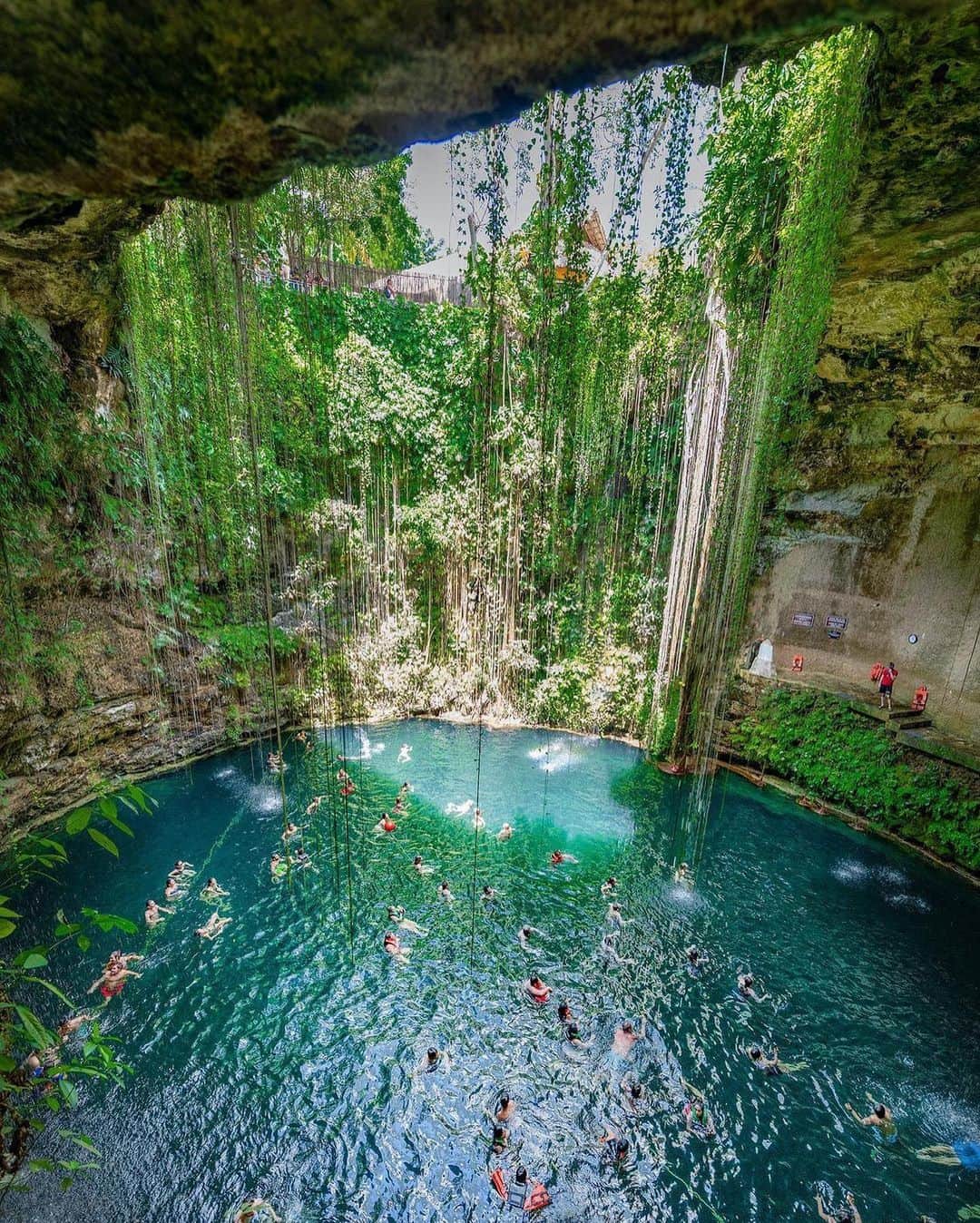 BEAUTIFUL DESTINATIONSさんのインスタグラム写真 - (BEAUTIFUL DESTINATIONSInstagram)「Isn't it enchanting? ✨ Ik Kil is a mesmerizing cenote framed by immense rock walls and thread-like vines, and looks like a scenery that's straight out of a fairy tale. Visitors can swim and snorkel its water, which is about 130 feet deep.  BD tips on shooting incredible nature spots 👇🏼 Tip 1 - Get a crispy wide shot from above Tip 2 - Zoom in closer to reveal more details Tip 3 - Try finding unique angles for a fresh perspective  For photographers out there, any additional tips? 💡 Add this to your bucket list now!  📸 @kyrenian 📍 Ik Kil, Yucatan, Mexico」10月20日 23時22分 - beautifuldestinations