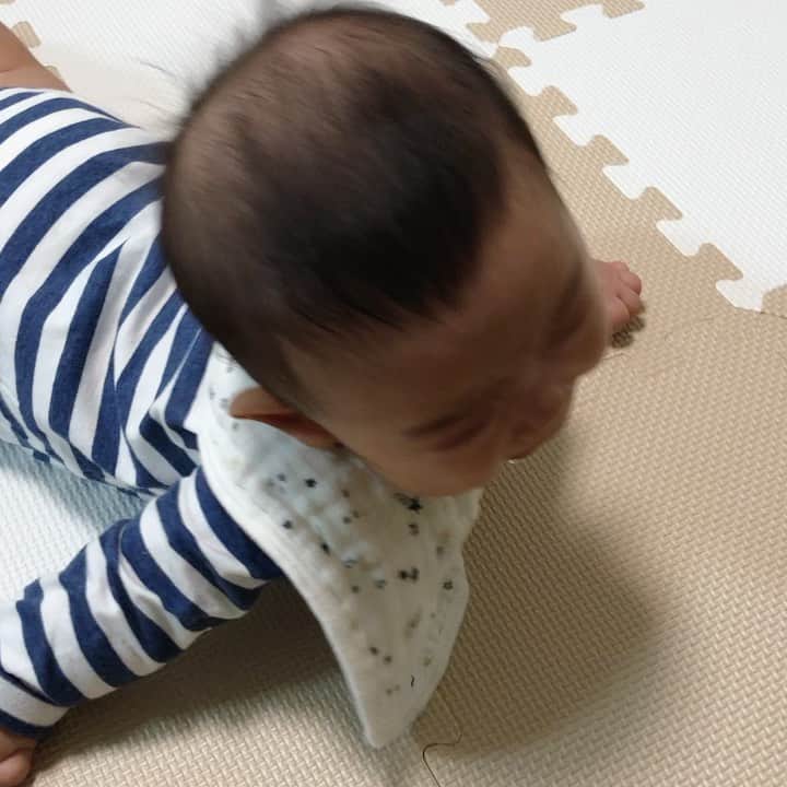 馬渕史香のインスタグラム：「⚠️音注意⚠️  #赤ちゃんが泣き止む動画  教えてもらった #トントントマトちゃん がすごい😳  もちろんダメな時もある😅  #あしざわ家 #赤ちゃんのいる生活 #ずぼら主婦 #ゼクシィbabyママ隊 #令和2年生まれ #5月生まれ #男の子ベビー #令和ベビー #babyboy #2020baby #ゼクシィbaby #ベビーグラム #ベビフル #コズレ #ままのて」