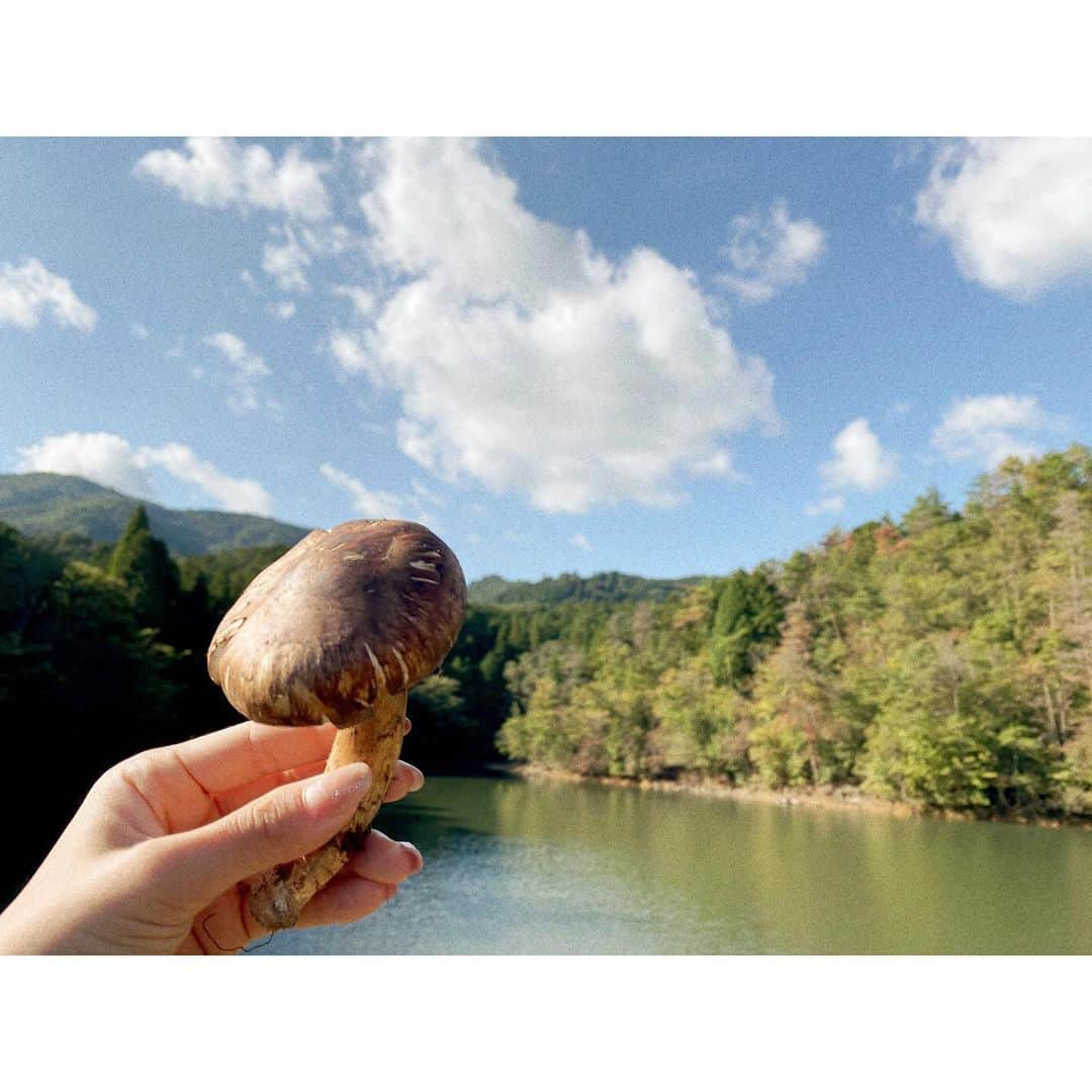 田尻夏樹（なつきんぐ）さんのインスタグラム写真 - (田尻夏樹（なつきんぐ）Instagram)「松茸狩り🍄 . . 今年も1つget🥺✨ . . . 松茸狩り 山は寒いけど、真剣に探すと暖かくなるから 脱げるように重ね着がおすすめ✨ クモの糸も虫も多いから帽子必須🧢 靴は汚れるから長靴もしくは、靴カバーが良き👟 手袋も忘れずに🧤 ですです😳 . . . 自分でとった松茸は格別に美味しい🤤💕💕💕 . . . #来年行くときの為のメモ」10月20日 23時30分 - tajiri_natsuki