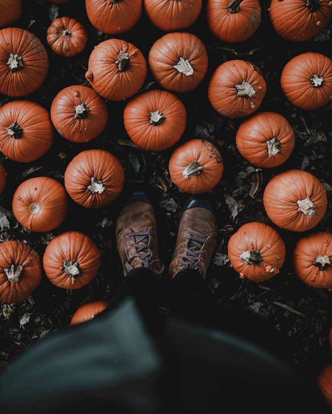 のインスタグラム：「I love @samciurdar’s story in the fall issue. Taking risks and the love of adventure. Some of my favorite things. Get it now before it’s sold out. www.folkgeneral.com #liveauthentic」