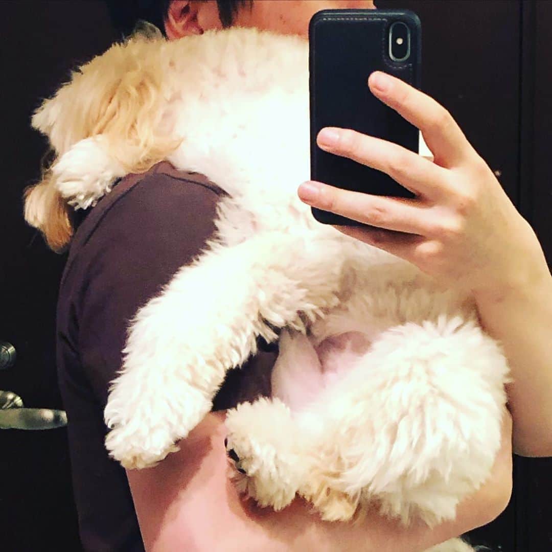 北山陽一のインスタグラム：「この状態の歯磨きはきついって。#きたやまおもち」