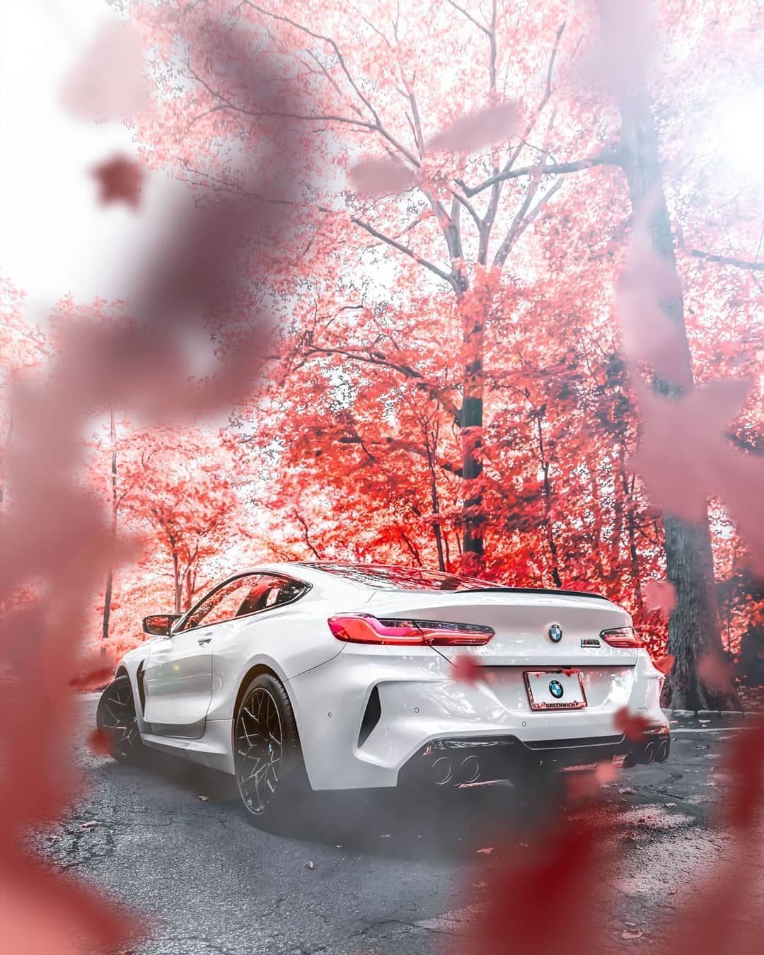BMWのインスタグラム：「The best kind of forest tale starts like this. The BMW M8 Competition Coupé. #TheM8 #BMW #M8 #BMWrepost @philsags  __ BMW M8 Competition Coupé: Fuel consumption in l/100 km (combined): 10.6. CO2 emissions in g/km (combined): 242. Further information: www.bmw.com/disclaimer.  	 Acceleration (0-100 km/h): 3.2 s. Power: 460 kW, 625 hp, 750 Nm. Top speed (limited): 250 km/h (with optional M Drivers Package: 305 km/h).」