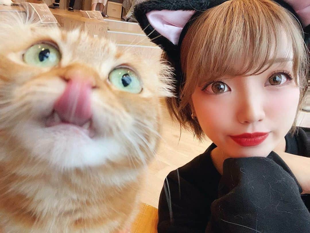 みきでりのグルメインスタ