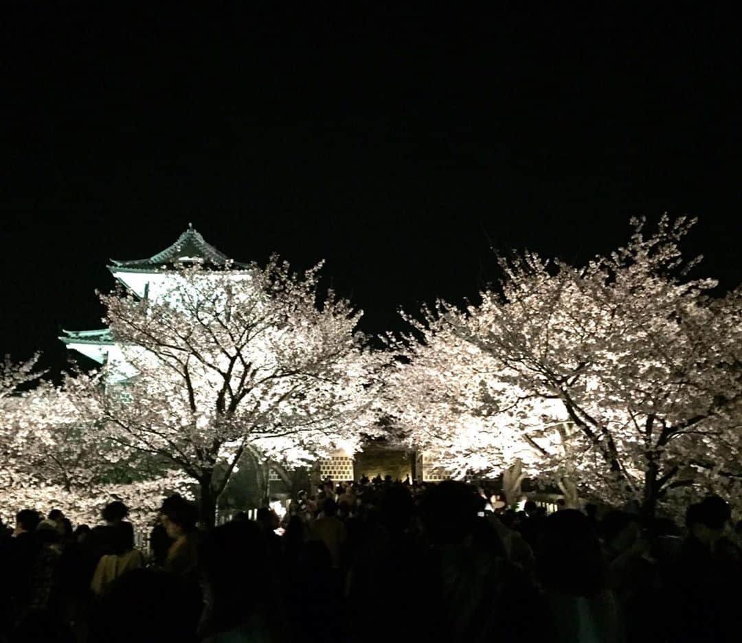 トロたんさんのインスタグラム写真 - (トロたんInstagram)「トロたんと旅するIN石川 ※過去の写真です 定番をまわるまわる 兼六園と近江市場〜！ 桜の時期の兼六園は最高に綺麗だった🌸！ そして近江市場のもりもり寿司さんでたべたのどぐろが美味しすぎて忘れられない…🐟🐟🐟🐟🐟🐟  #トロたんと旅する #石川県 #石川 #金沢 #金沢旅行 #金沢  #金沢グルメ #兼六園 #もりもり寿司 #のどぐろ #近江市場 #桜 #お花見 #旅スタグラム #旅行 #旅行好き女子 #観光 #たびすたぐらむ #tbt #Japanese #japanesegirl  #selfie #Japan #Japantrip #Japantravel  #女子旅  #旅 #trip #travel #photo」10月21日 0時23分 - torotan_tan