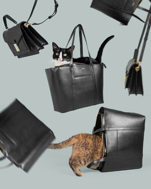 Ted Bakerさんのインスタグラム写真 - (Ted BakerInstagram)「COMPETITION TIME. Calling all cat lovers. Tag your favourite #CatPerson for a chance to win a £200 Ted voucher.* @princesscheeto not included. *T&Cs apply. Ends 23:59 Sunday 25th October 2020.」10月21日 0時30分 - tedbaker