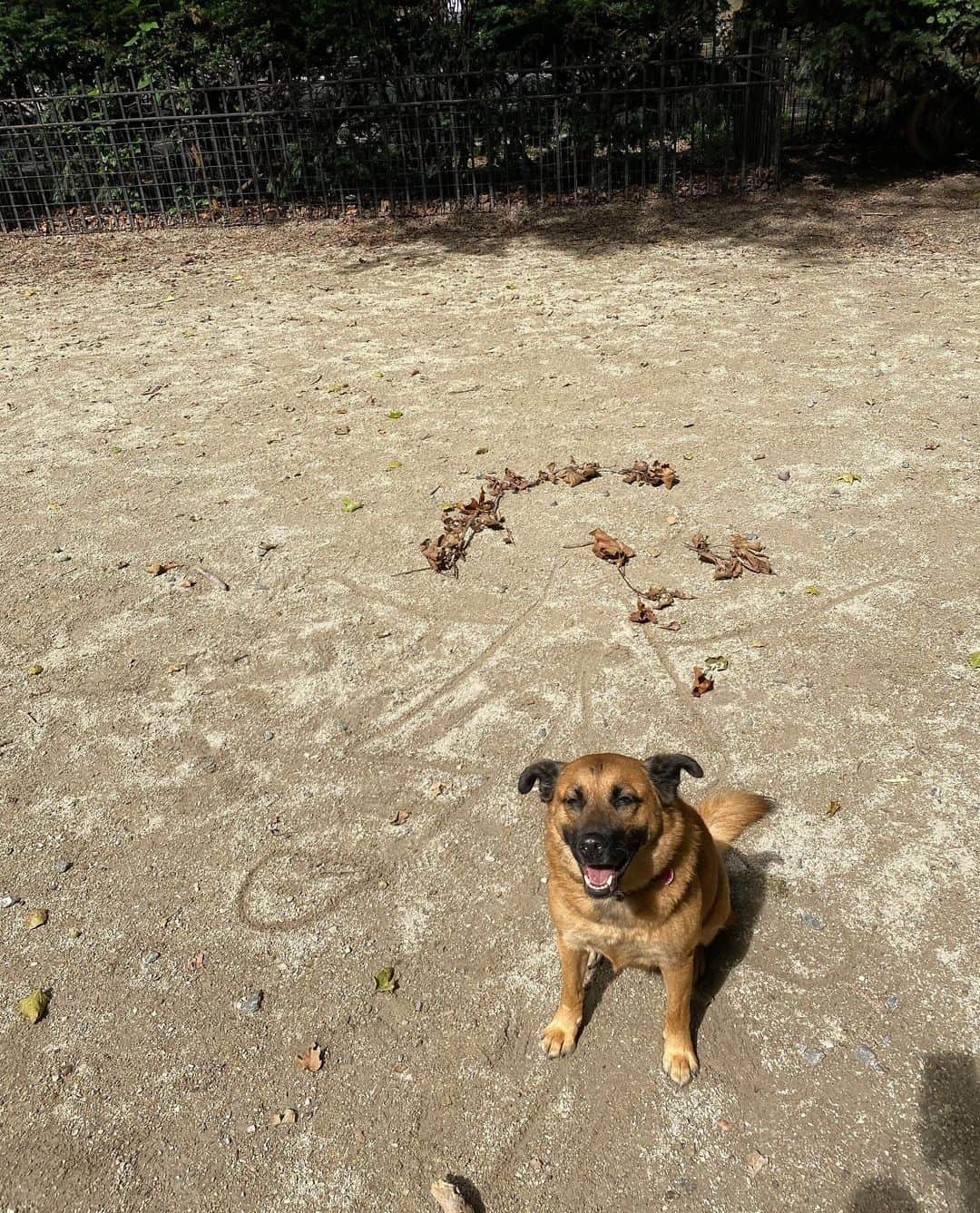 ブルックリン美術館さんのインスタグラム写真 - (ブルックリン美術館Instagram)「Our Mini Art Lessons return! This week, we'll look at the work of Ana Mendieta, an artist who blended photography, body art, earth art, and performance to address the emergence of feminism and her experience as a Cuban exile. Mendieta would place her body in the landscape, using materials such as crushed flowers, sculpted mud, or ignited gunpowder to literally inscribe her silhouette, and then document the results through photographs and films. Taking inspiration from Mendieta, we'll create our own carved portraits and silhouettes with kids ages 2–6 and 7 and up. Tap link in bio for this week’s lesson created by #bkmeducation. ⁠⠀ Ana Mendieta (American, born Cuba, 1948–1985). Untitled (Guanaroca [First Woman]), 1981/1994. Gelatin silver photograph. Brooklyn Museum; Gift of Stephanie Ingrassia, 2007.15. © The Estate of Ana Mendieta Collection Courtesy Galerie Lelong, New York」10月21日 0時57分 - brooklynmuseum