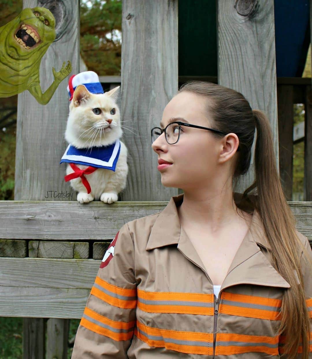 のインスタグラム：「Who you gonna call?⠀ ⠀ 🎃@otisandjr⠀ ⠀ Hashtag #9GAGHalloween on your cat’s Halloween photos/videos and get a chance to be featured on @9GAG, and @Meowed!⠀⠀⠀⠀⠀ ⠀⠀ #meowed #otisandjr #Halloween #Halloween2020 #MH2020 #9GAGHalloween #Boo #👻 #🎃」