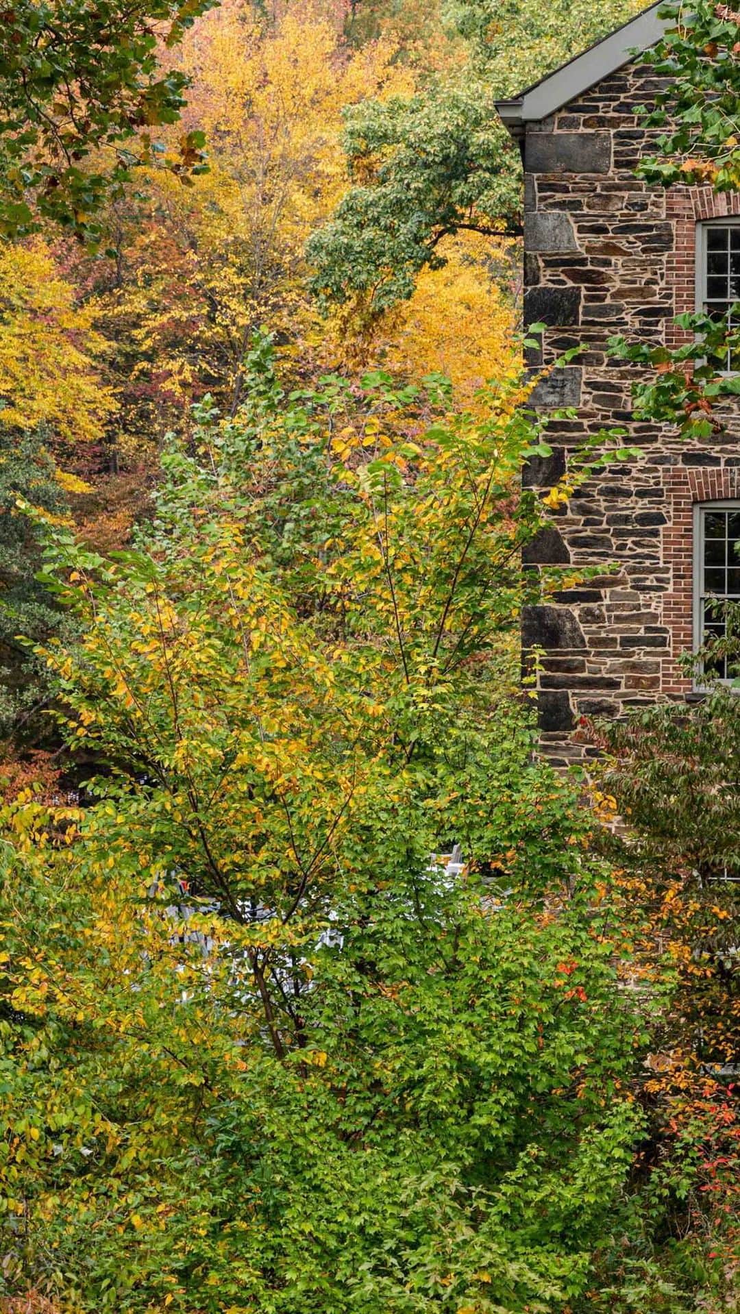 ニューヨーク植物園のインスタグラム：「Together with the JOTB Collective, Judith Insell performs free jazz on the picturesque veranda of the Stone Mill. . Our latest Garden Set brings Insell—a champion for musical diversity and music education advocacy—to the edge of the Thain Forest and the Bronx River for an improvisational performance with her avant-garde jazz ensemble, featuring Virg Dzurinko on piano, Eli Asher on trumpet, and Leonid Galaganov on percussion. Hear how they took inspiration from the sounds of nature for this set, and hit the link in our bio to learn more about the Collective and their work. . #plantlove #nybgathome #museumfromhome #culturefromhome」