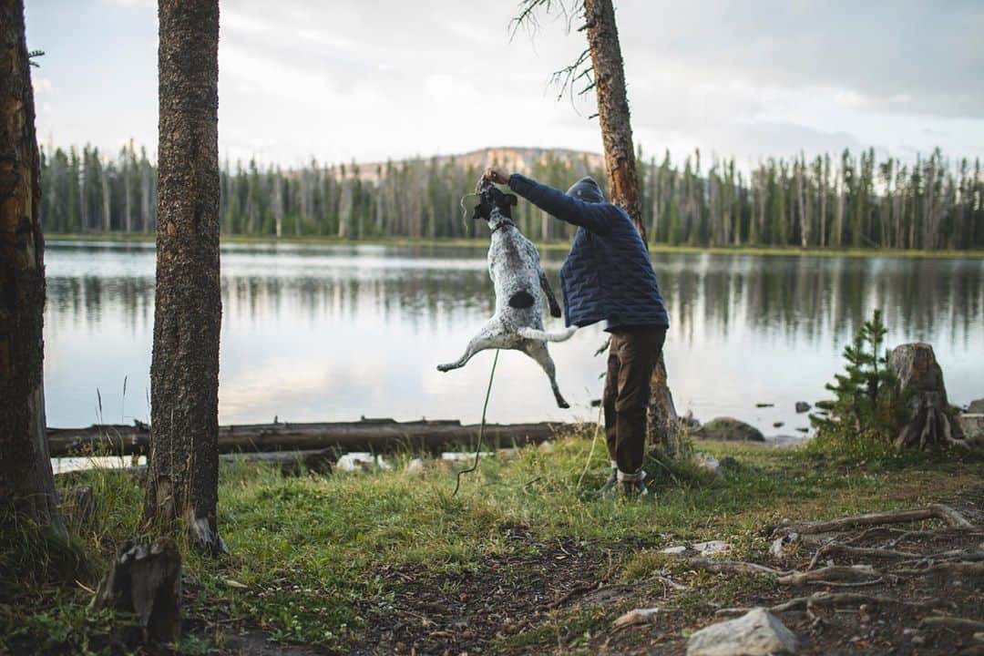 マウンテンハードウェアのインスタグラム：「“The Stretchdown Shacket is my go-to for being outside and traveling. It doesn’t look like a traditional, oversized puffy, it’s stretchy enough for warming up on boulders or throwing sticks for my dog, Luna, and tough enough for Luna, too.” -@joshlrsn. Photos: @dscottclarkphoto.」