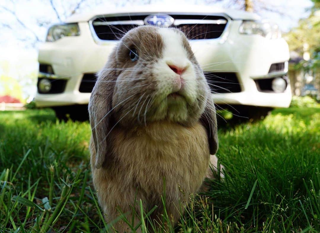 Subaru of Americaのインスタグラム