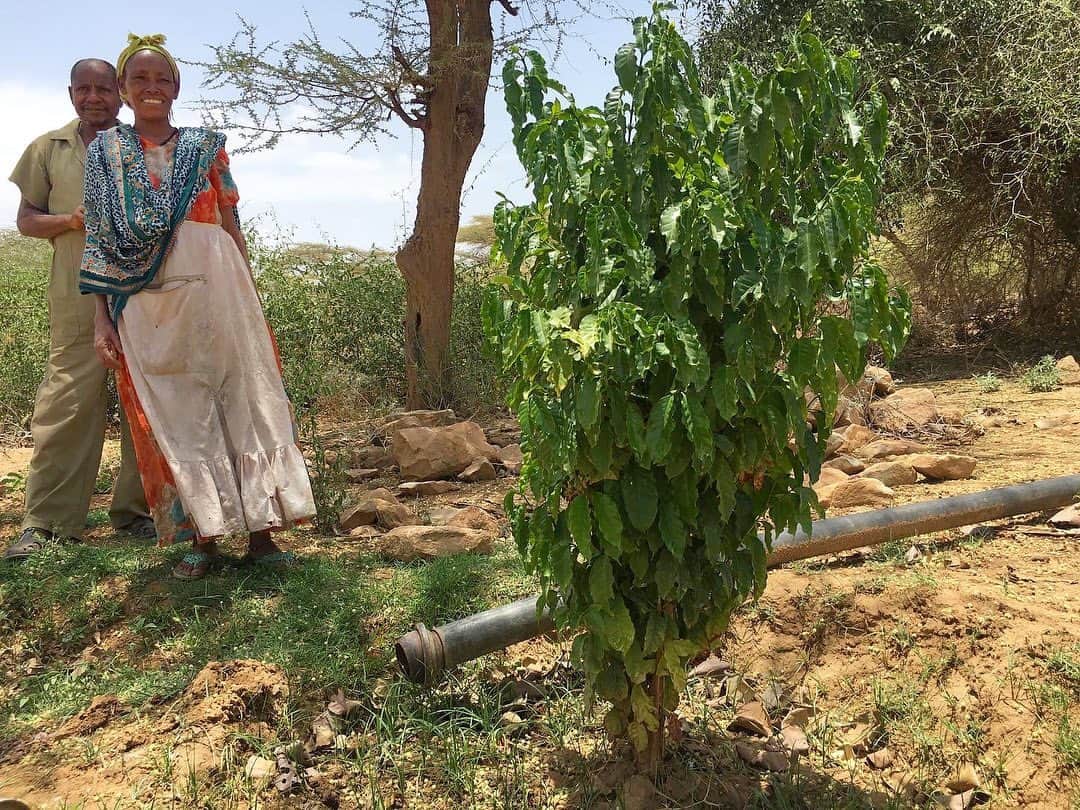 グレースマハリーのインスタグラム：「I distinctly remember the joy and pride from this couple in Eritrea when they showed us their solar powered crops. They had been using a solar energy irrigation system and what you see here are the fruit rewards from the clean system.   This year and while @projecttsehigh is unable to work overseas, we’re channeling our solar efforts into BIPOC communities across America. We aim to provide clean energy and fresh food solutions to  families in living food deserts. Please join us by sharing our story and, if feasible, contributing to the link in bio. 💛🌱🌞 #pjtGROW」
