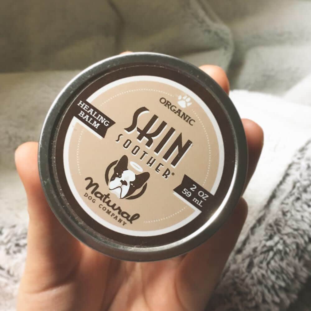 Regeneratti&Oliveira Kennelさんのインスタグラム写真 - (Regeneratti&Oliveira KennelInstagram)「People have Neosporin, and now dogs have #SkinSoother. This all-natural healing balm is antibacterial, anti-fungal, anti-inflammatory and super soothing to help relieve irritation, prevent/treat infection, speed recovery and reduce scarring. Perfect for cuts, rashes, allergies, hot spots, itchy paws, bug bites…pretty much everything. . ⭐ SAVE 20% off @naturaldogcompany with code JMARCOZ at NaturalDog.com  worldwide shipping  ad 📷: @Rootbeer_frenchie . . . . . #petsupplies #frenchie #frenchbulldog #cute #bulldog」10月21日 2時55分 - jmarcoz